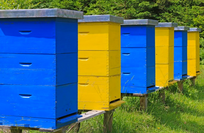 Fantozzi Honey Company